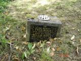 image of grave number 660325